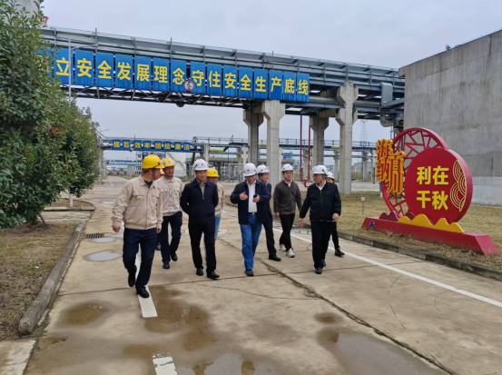好博体育独立董事及证券公司领导一行到贵溪公司调研指导工作